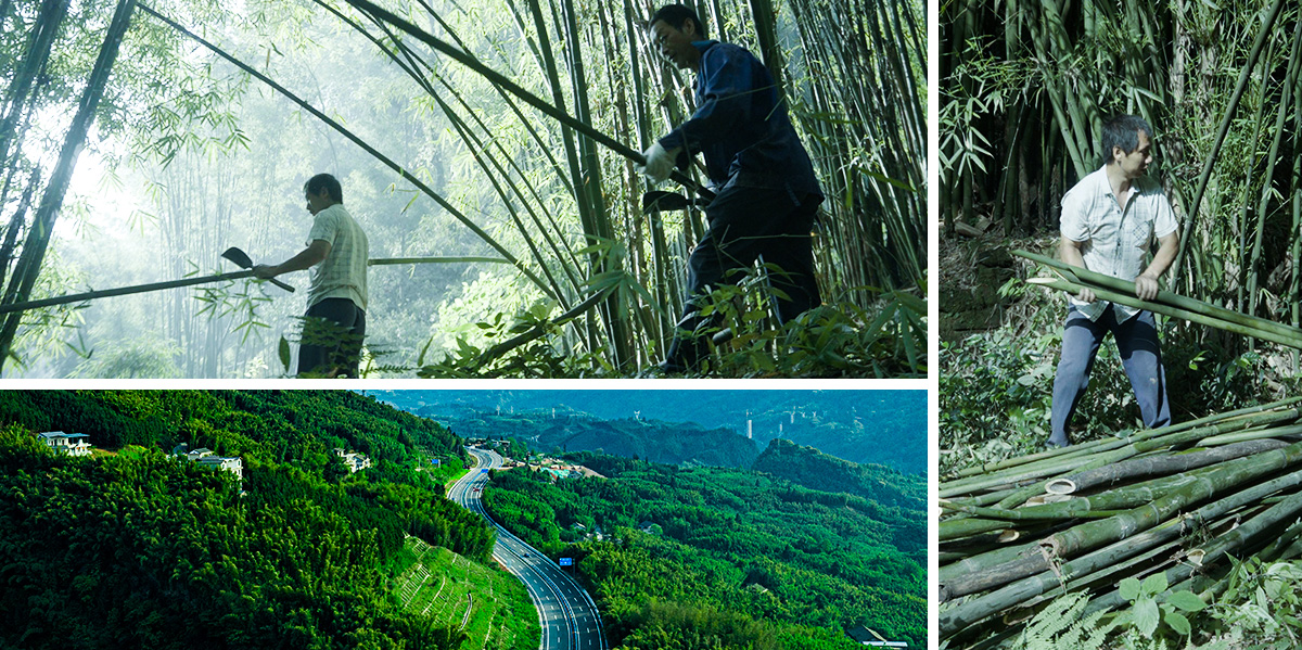 img_竹農02.jpg img_竹農02.jpg