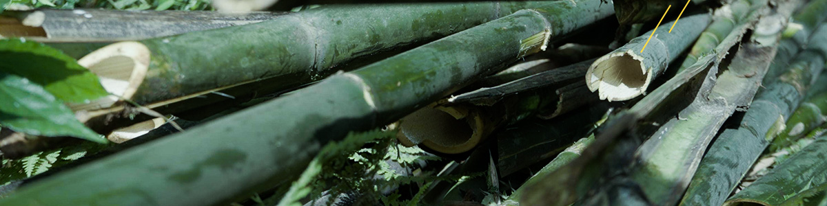 img_竹農04.jpg img_竹農04.jpg