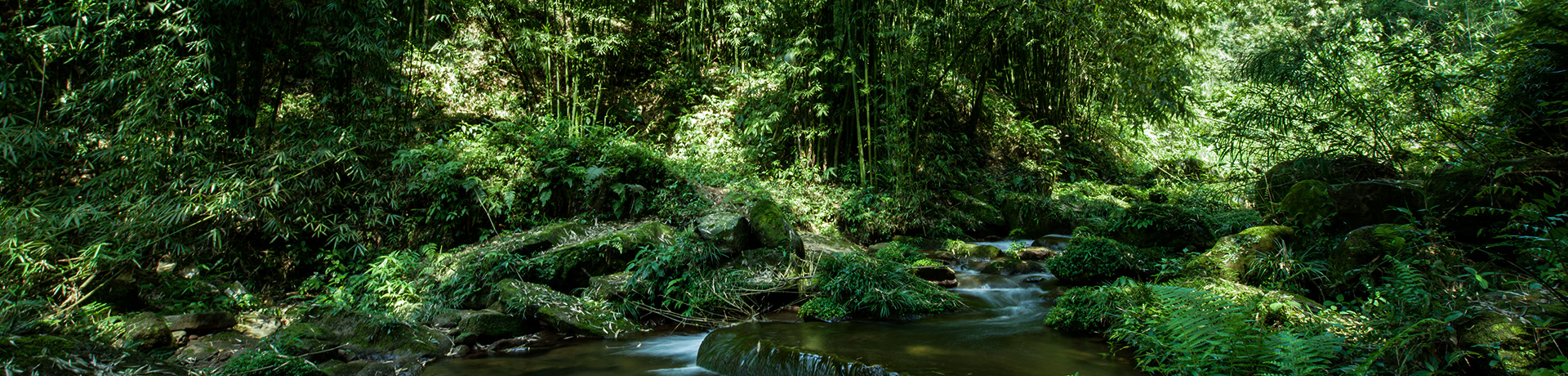 fsc_other.jpg fsc_other.jpg